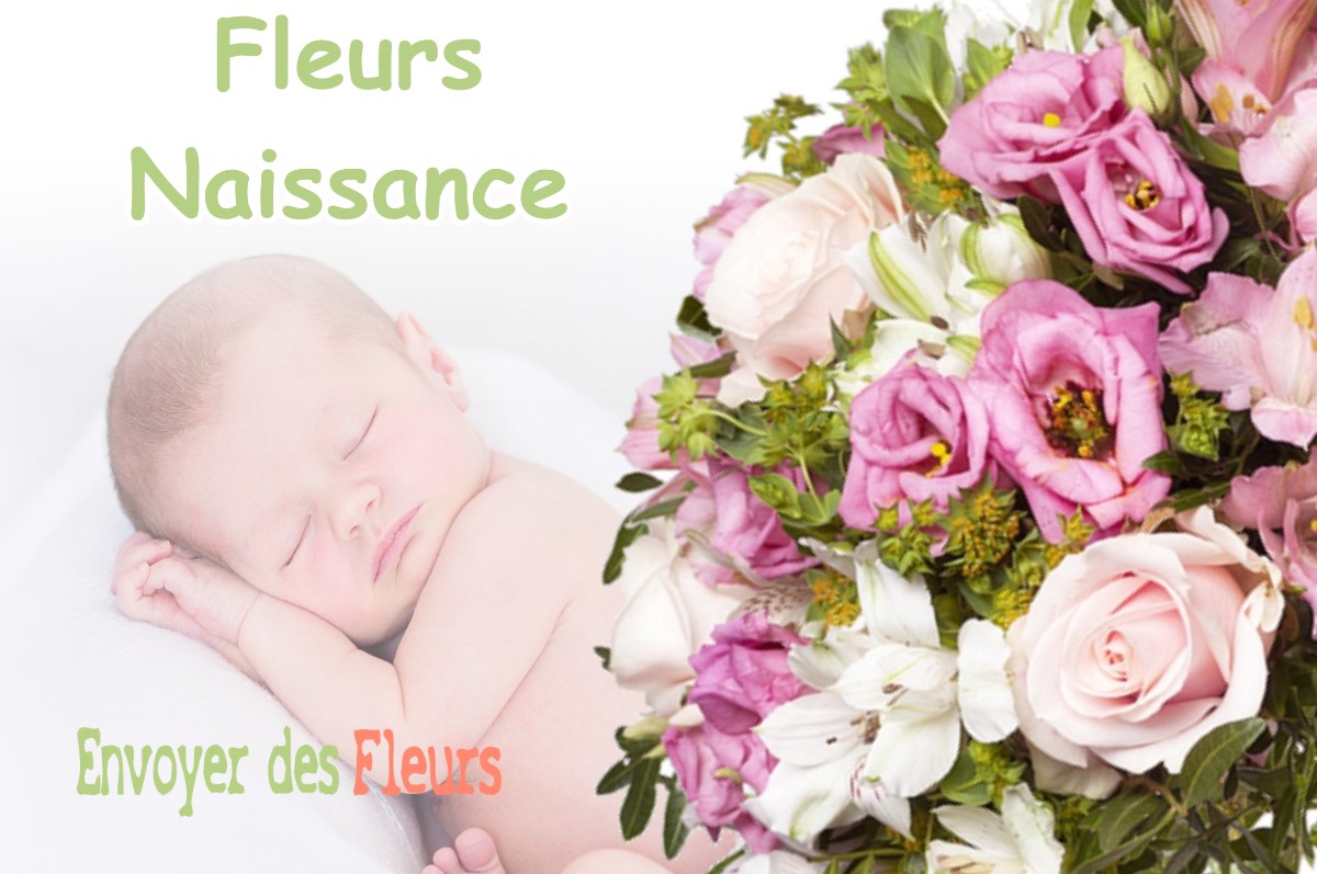 lIVRAISON FLEURS NAISSANCE à LA-FLACHERE